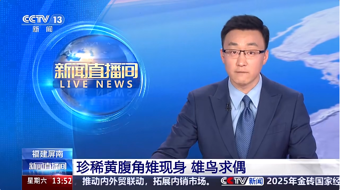 微信图片_20250415093822.png